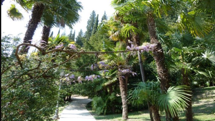 Arboretum of Arco - Former Archduke Park, Arco, Italy, Italy